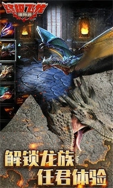 终极飞龙模拟器(1)