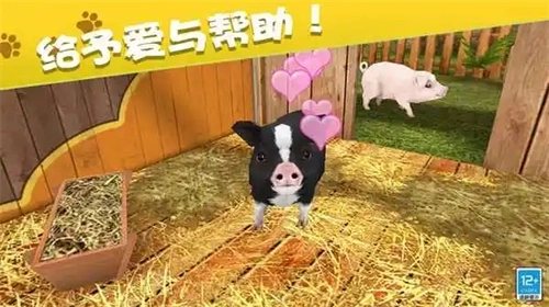 我的动物王国 我的动物王国