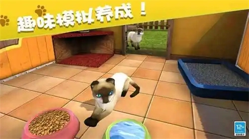 我的动物王国 我的动物王国