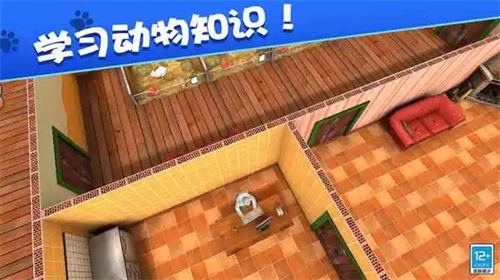 我的动物王国 我的动物王国