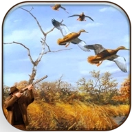真实野鸭狩猎