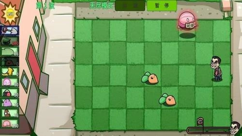 植物僵尸模拟(3)