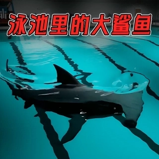 13号监狱异常监控v1.0