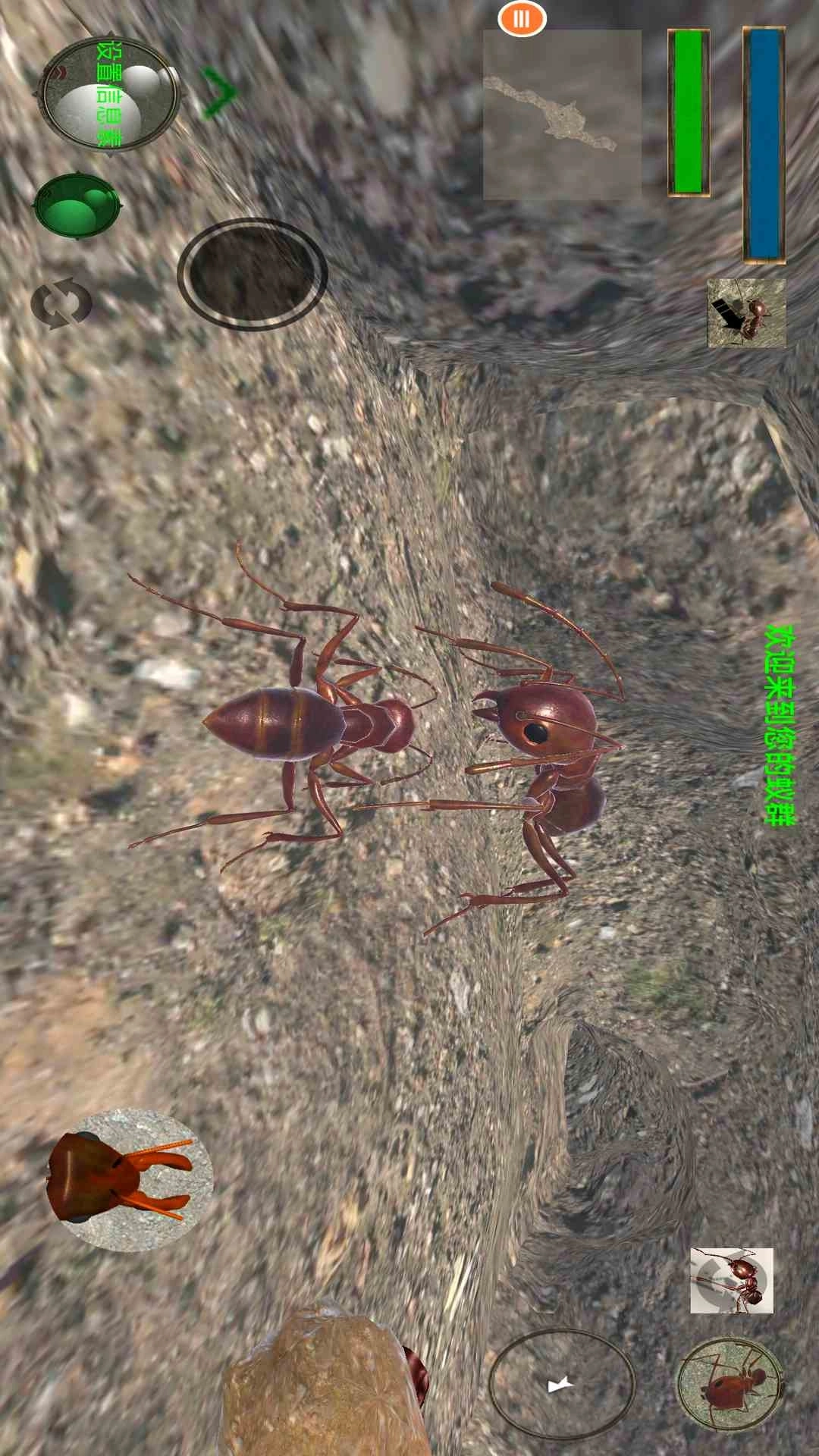 蚂蚁模拟器汉化版(3)