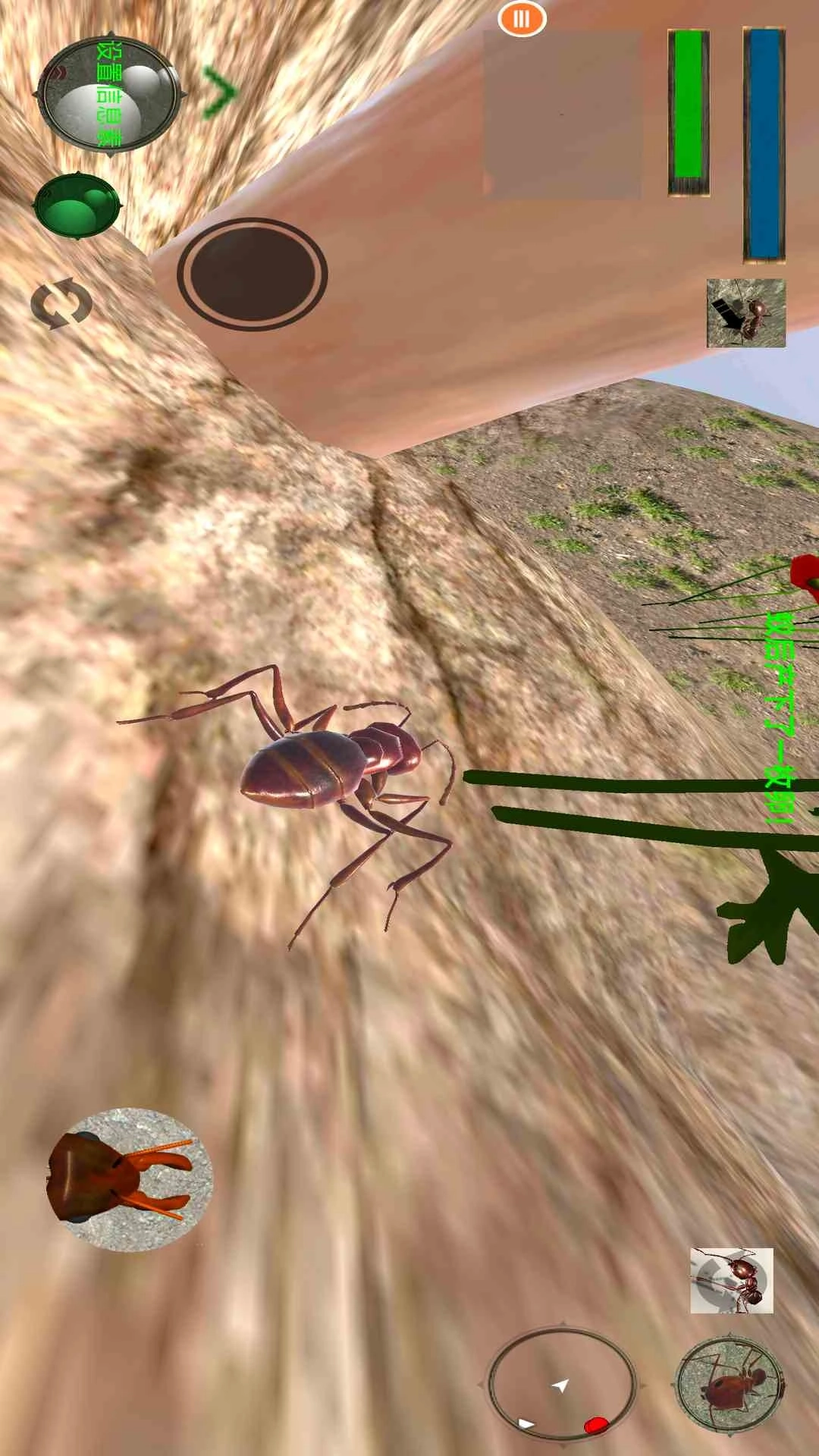 蚂蚁模拟器汉化版(4)