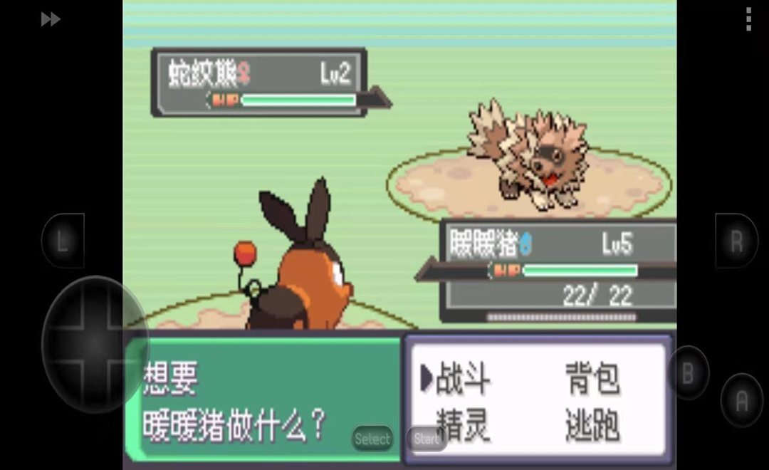 口袋妖怪究极绿宝石3手游直装版(2)