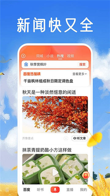 百度大字版图4
