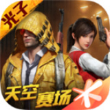 和平精英国际服游戏完整版