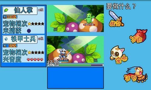 宠物王国5彩虹手游免费版(1)