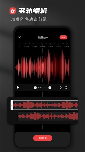 audiolab pro正版(2)