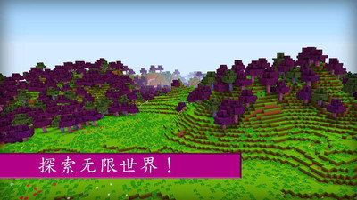 我的世界女孩版-图2