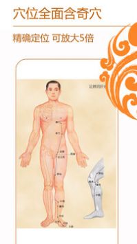 经络养生最新免费版3