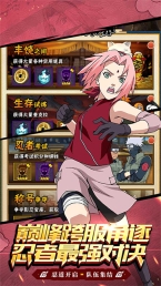 侍忍者0.05折免费版