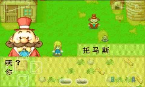 牧場物語女孩版