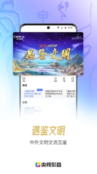 cctv电视直播无广告版