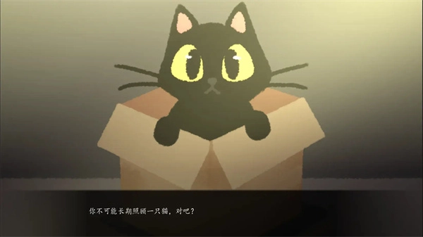 别带这只猫回家手游免费版(1)