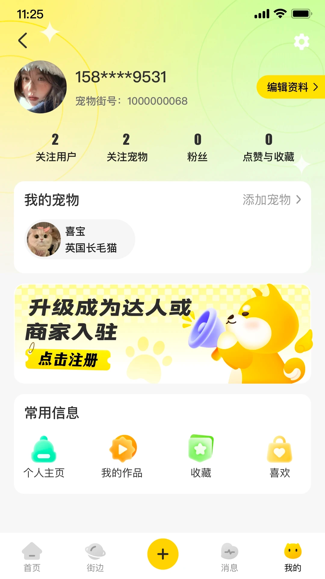 宠物街原版图3