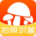 菌窝子直装版