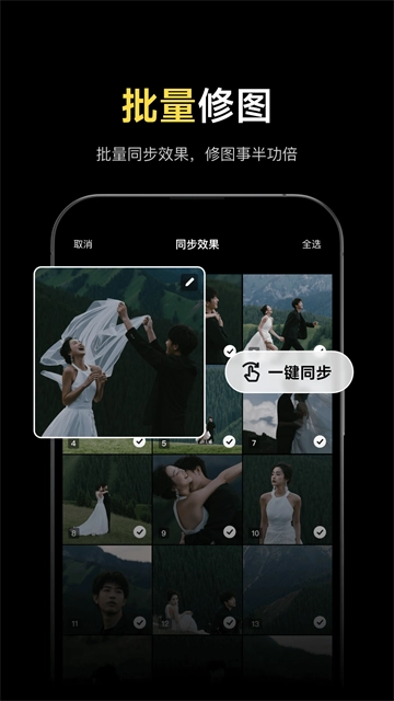 像素蛋糕标准版