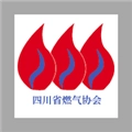 安卓直装版