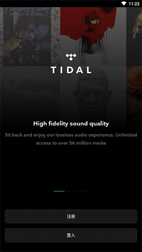tidal音乐安卓版图1