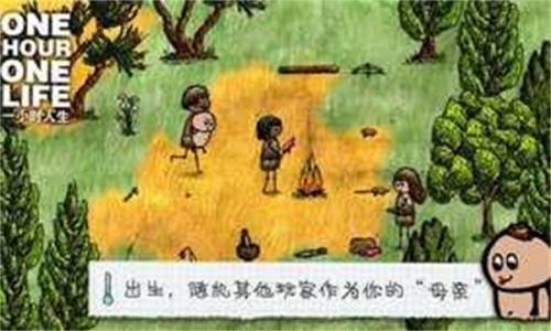 一小时人生官方最新版-图2
