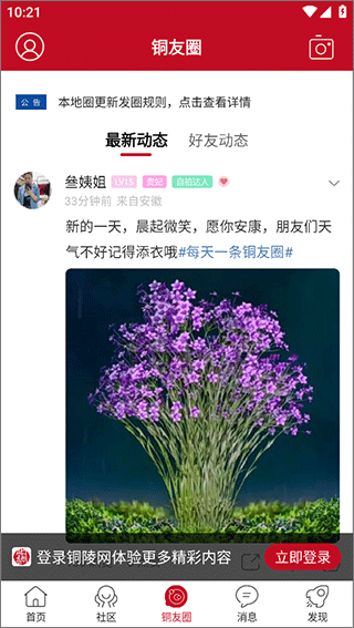 铜陵网官方最新版