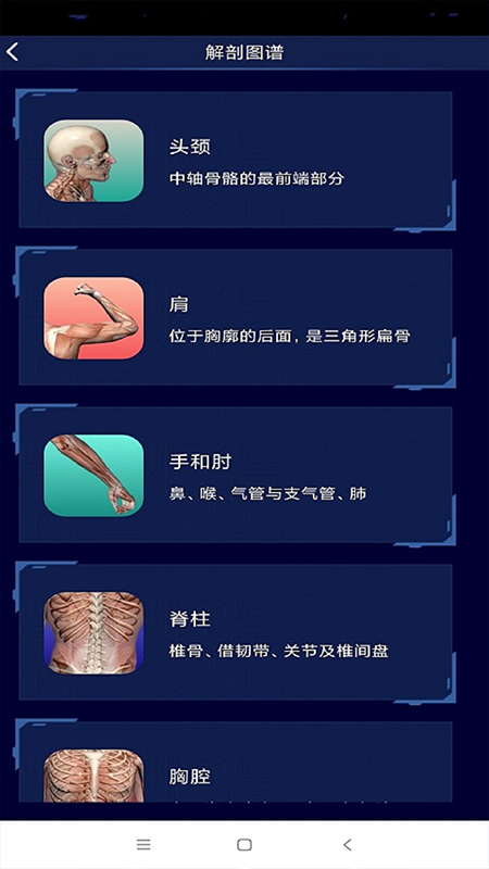 3D人体解剖图谱最新免费版图2