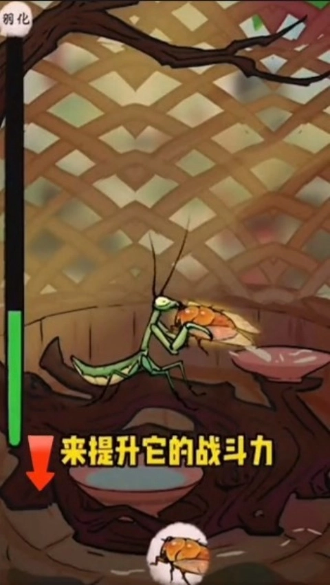 极品螳螂游戏纯净版