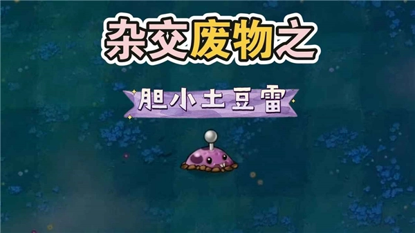 废物大战僵尸安卓直装版
