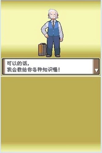 口袋妖怪白金免费版(4)