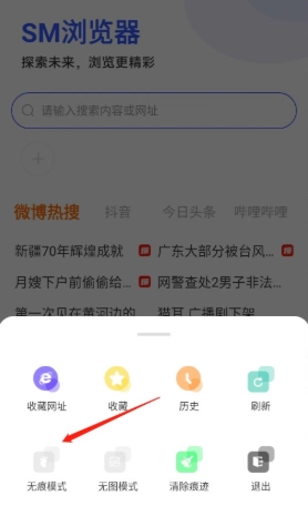 SM浏览器原版图2