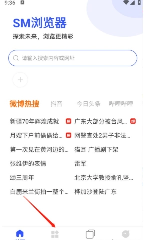 SM浏览器原版图3