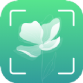 识花君植物识别直装版