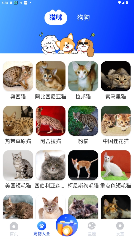 喵喵语译手机最新版图5
