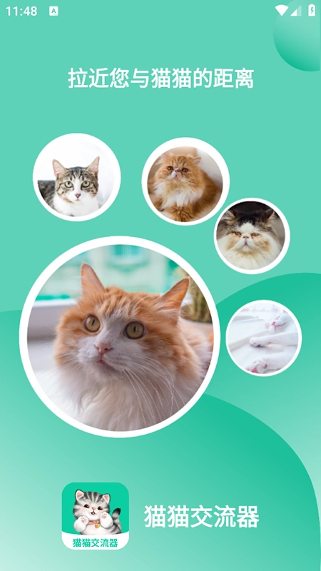 猫猫交流器2026手机版图1