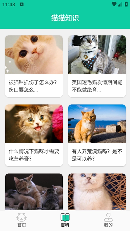 猫猫交流器2026手机版图3