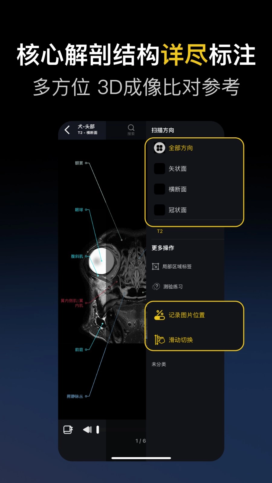 兽医解剖图谱免费原版图3