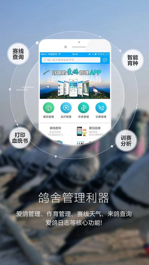 爱鸽者手机最新版图3