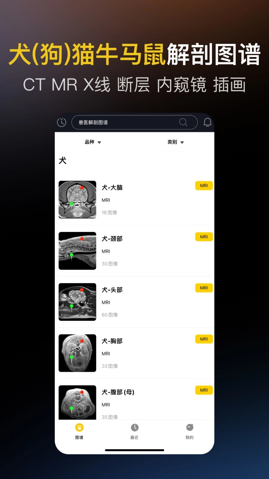 兽医解剖图谱免费原版图5