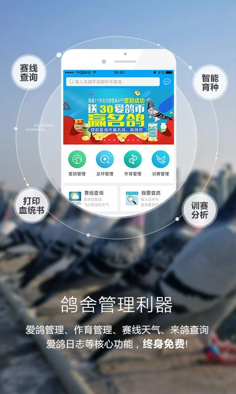 爱鸽者手机最新版图1