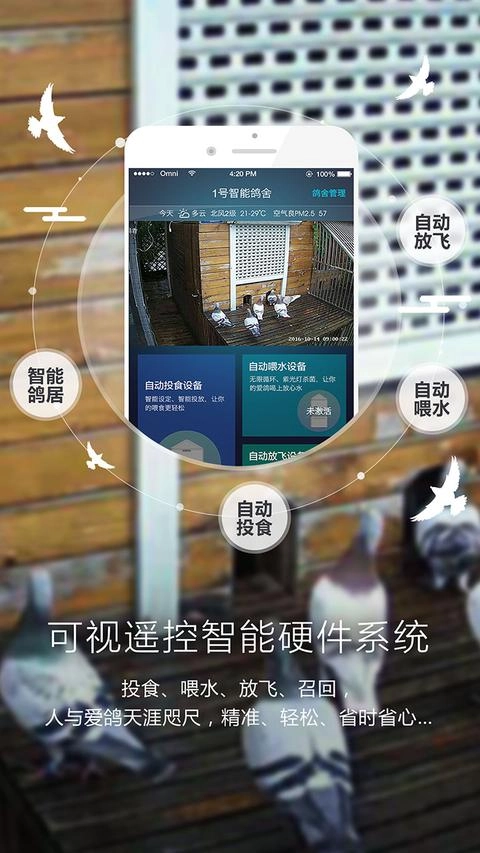 爱鸽者手机最新版图2