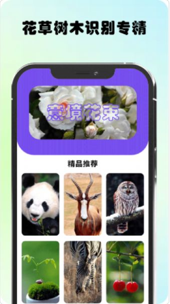 万物识图最新版-图3