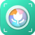 万物识图最新版