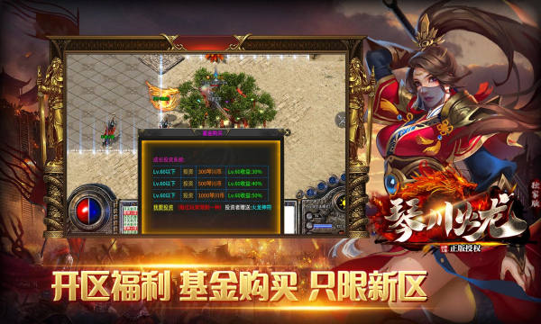 琴川传奇安卓版图2