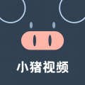 小猪视频安卓直装版