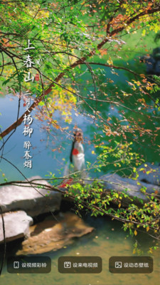 铃声多多无广告版-图2