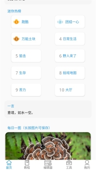 迷你开发者工具箱最新版(3)