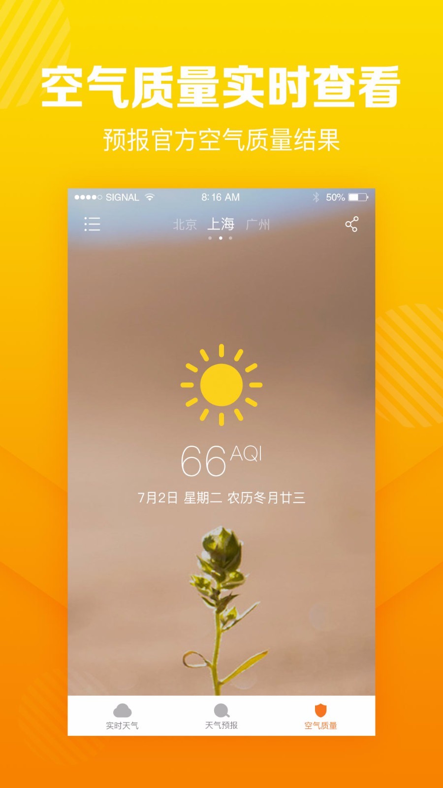 菠萝天气原版图1