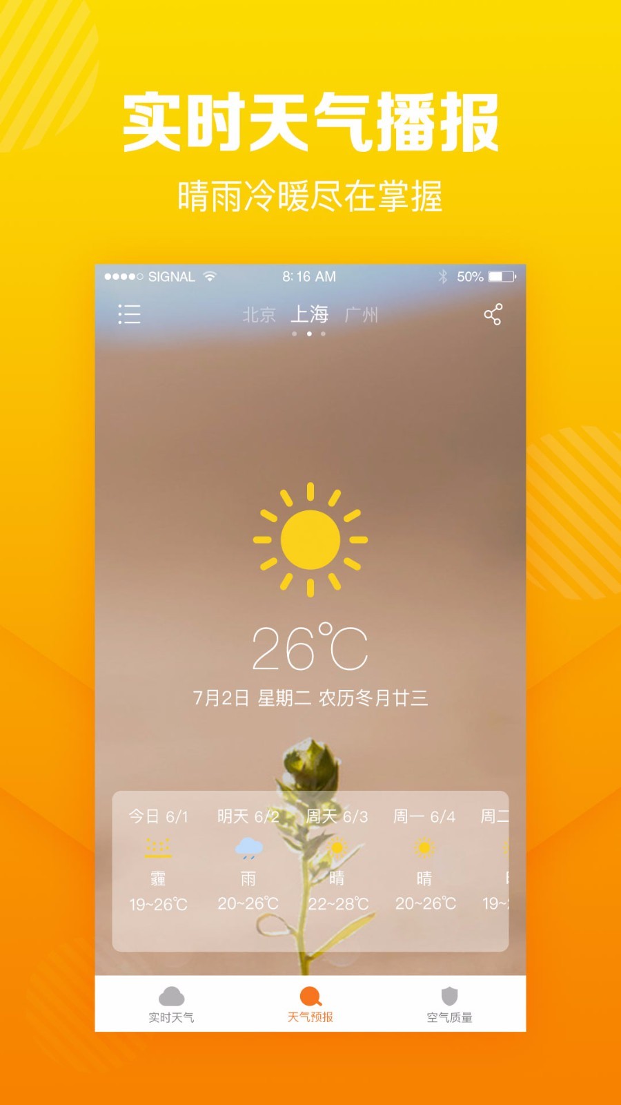 菠萝天气原版图2